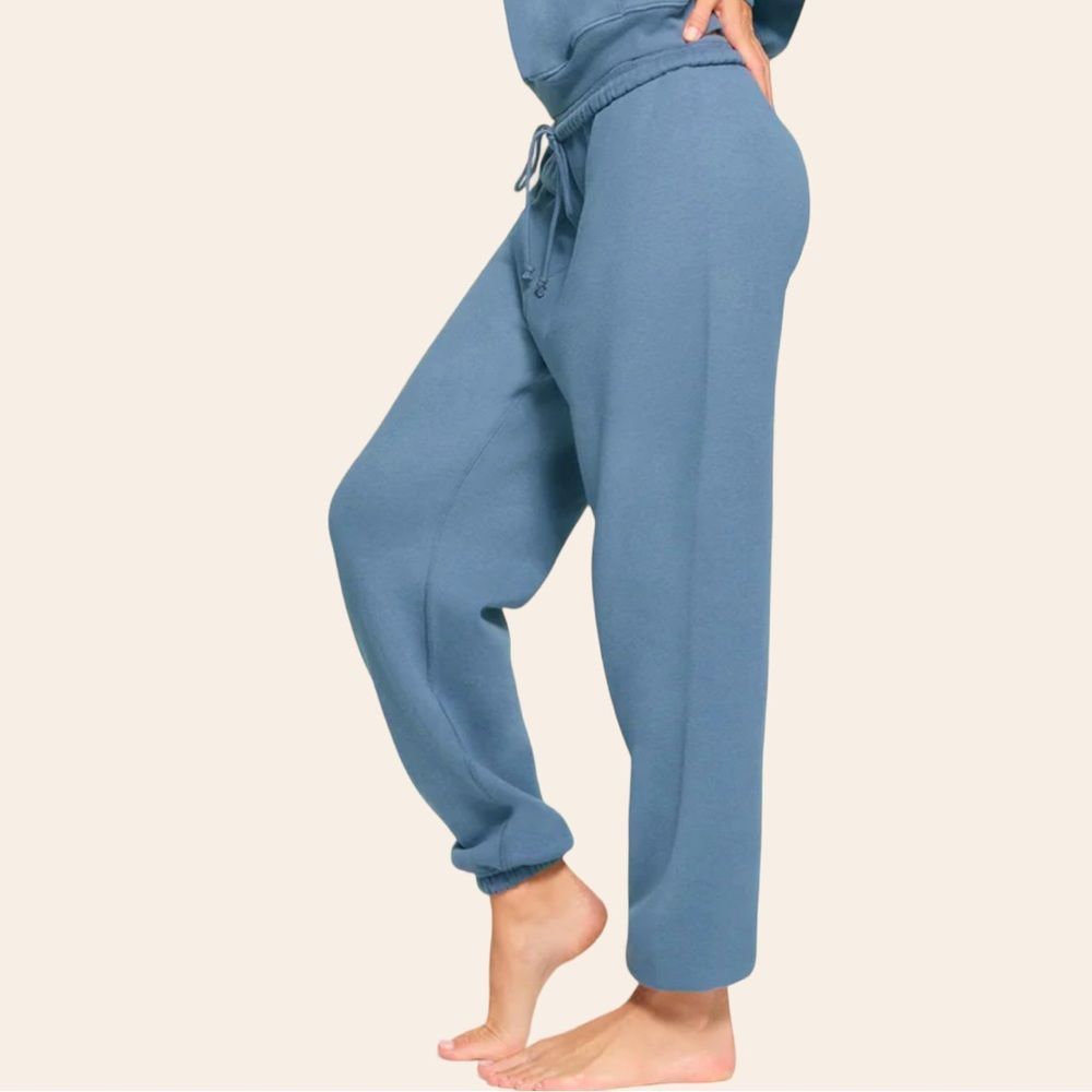 SKIMS Cotton Fleece classic jogger in Steel Blue Size M